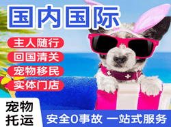 长沙黄花机场快运国际宠物托运 【国